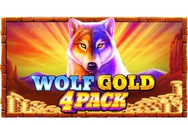 Tampilan mobile live casino dan sportsbook di livescore123 dengan tema hitam keemasan
